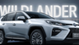 تویوتا وایلدلندر (Toyota Wildlander)